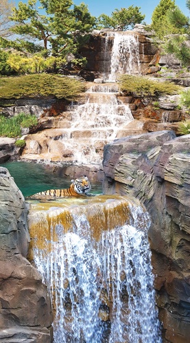 пейзаж, водопад, вертикальные