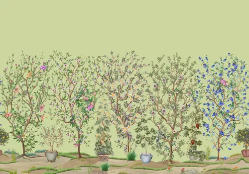 деревья, кусты, растения в горшках, сад, зеленые, салатовые, деревья на зеленом фоне