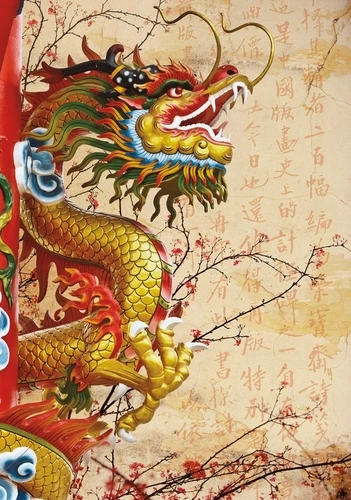 в гостиницу, восточные, китайские, дракон, оранжевая