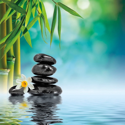 в гостиницу, восточные, вода, камни, бамбук