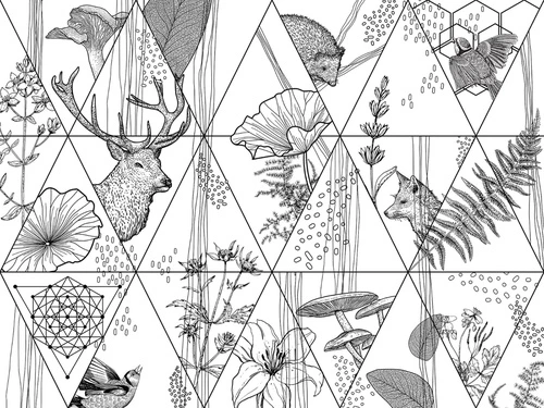 геометрия, черно-белые, треугольники, линии, звери