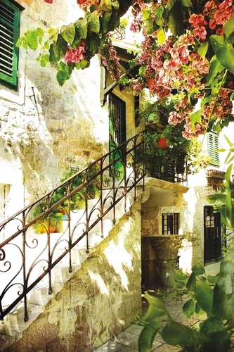 улочки, лестница, дерево