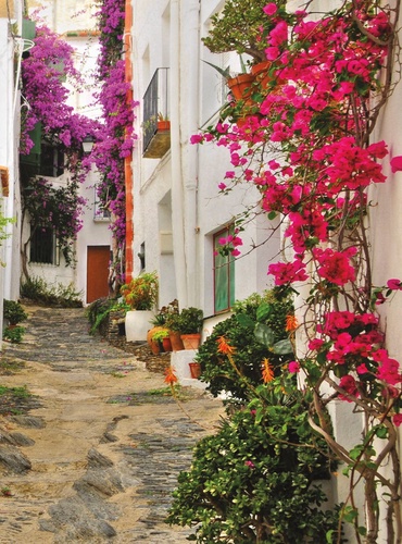 улочки, европейские, в цветах, розовая