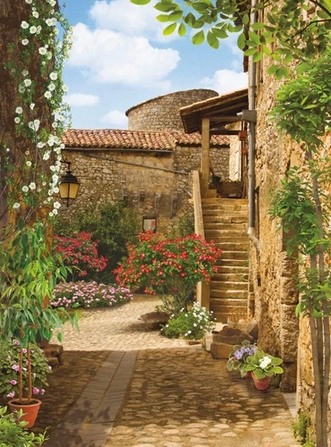 улочки, европейские, кусты цветов