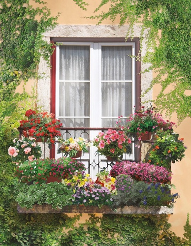 улочки, европейские, фасад дома, окно, в цветах