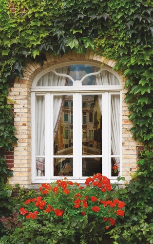 улочки, европейские, окно, с цветами