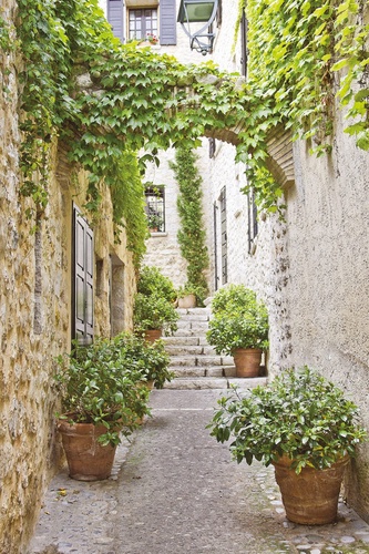 улочки, европейские, бежевые, зеленые