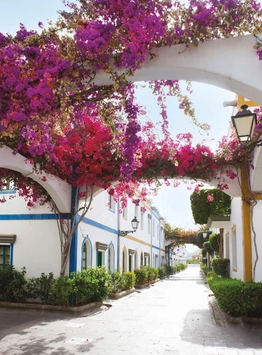 улочки, европейские, белые, розовая