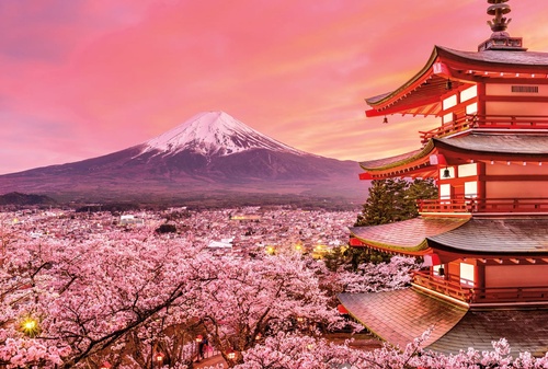 улочки, города, япония, розовая, гора 