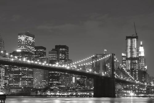 в офис, в кабинет, черно-белые, мост через реку