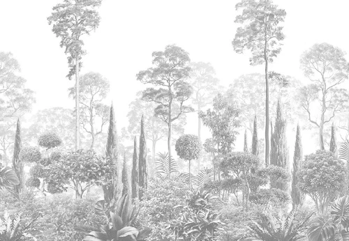 графика, черно-белые, тропики, лес, деревья, сосны, парк