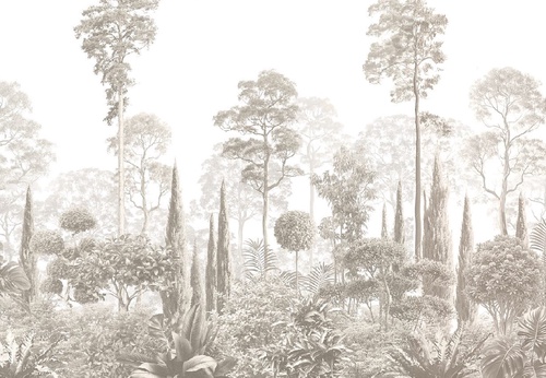 графика, бежевые, современные, тропики, лес, деревья, парк