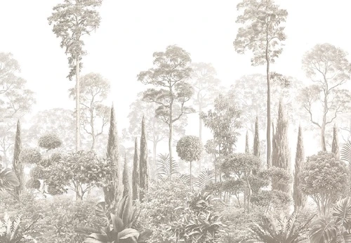 графика, бежевые, современные, тропики, лес, деревья, парк