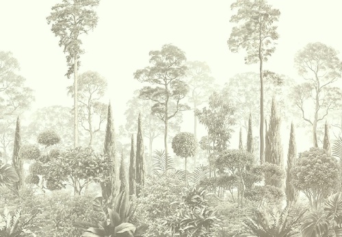 графика, серо-зеленая, тропики, лес, деревья, парк