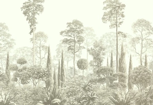 графика, серо-зеленая, тропики, лес, деревья, парк