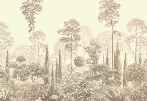 графика, кремовые, тропики, лес, деревья, парк