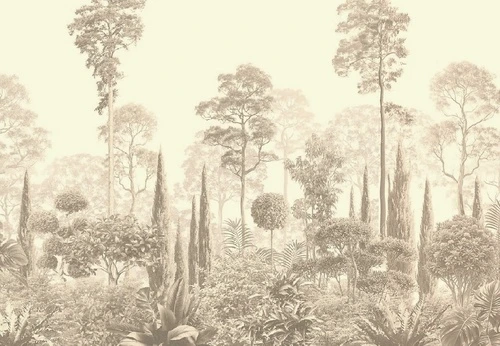 графика, кремовые, тропики, лес, деревья, парк