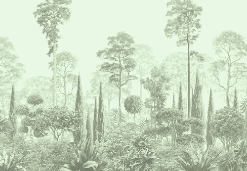 графика, зеленая, тропики, лес, деревья, парк