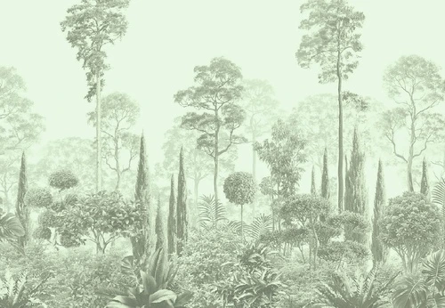 графика, зеленая, тропики, лес, деревья, парк