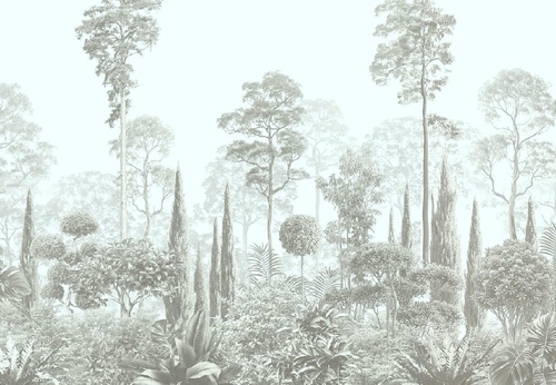 графика, новинки, тропики, лес, деревья, парк