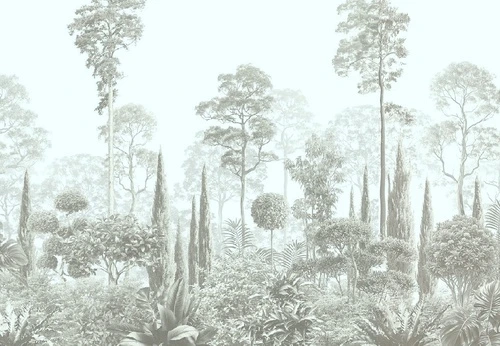 графика, новинки, тропики, лес, деревья, парк