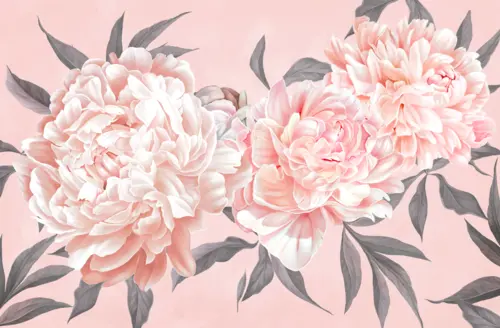 растения, цветы, листья, пионы, лепестки, розы