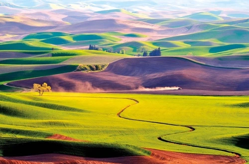 пейзаж, горы, разноцветные, поля