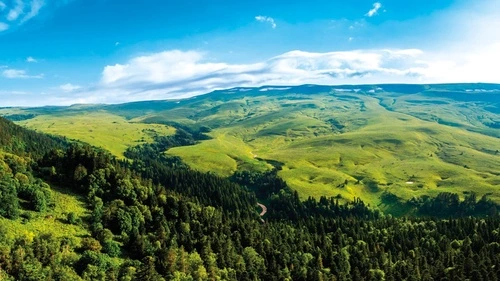 пейзаж, горы, летний, зеленая