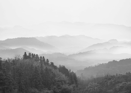 пейзаж, горы, лес, черно-белые, серые, горы туманные