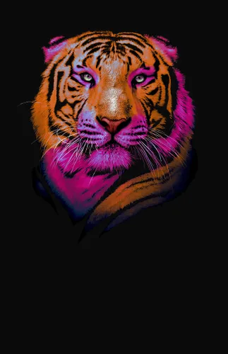тигр, голова, животное, розовые, оранжевые, черные