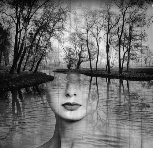 молодежные, лес, девушка, черно-белые