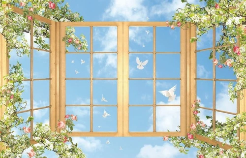 потолок, с решеткой, с окном, небо