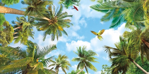 потолок, в бассейн, пальмы