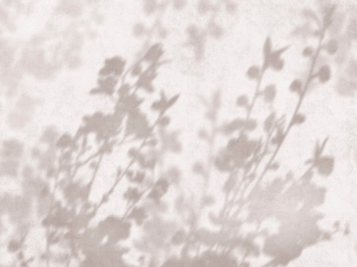 современные, ветки, тени деревьев, бежевые