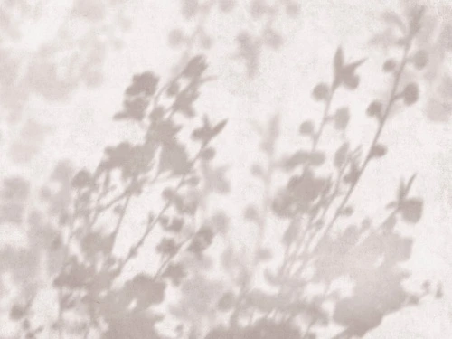 современные, ветки, тени деревьев, бежевые