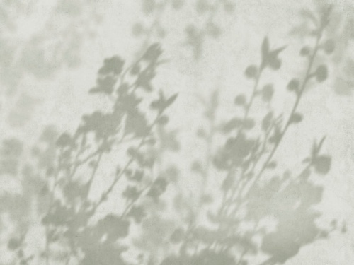 современные, ветки, тени деревьев, серо-зеленые