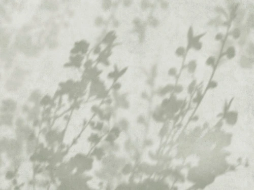 современные, ветки, тени деревьев, серо-зеленые