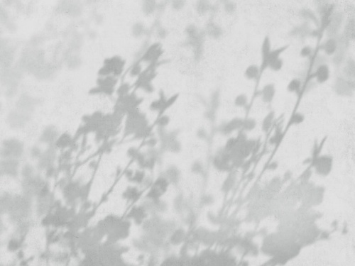 современные, ветки, тени деревьев, серо-голубые