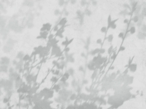 современные, ветки, тени деревьев, серо-голубые