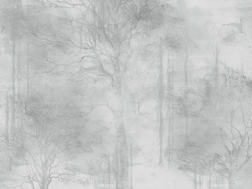 современные, графика, лес в тумане, деревья, парк, серая