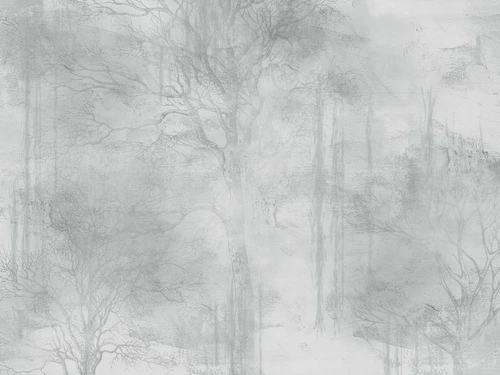 современные, графика, лес в тумане, деревья, парк, серая