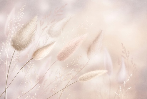 современные, бежевые, крупные, трава