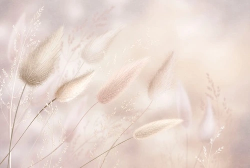 современные, бежевые, крупные, трава