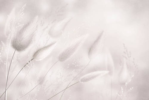 современные, светло бежевые, крупные, трава