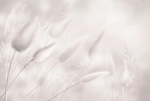 современные, светло бежевые, крупные, трава