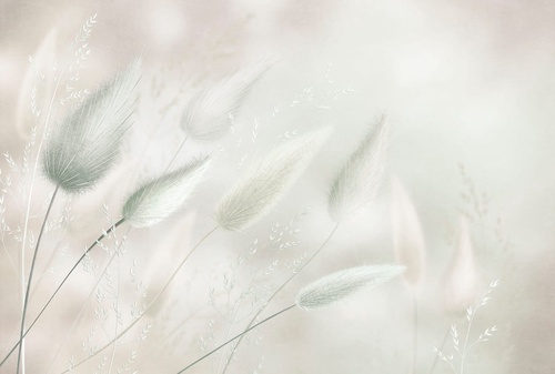 современные, светло зеленая, крупная, трава