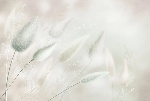 современные, светло зеленая, крупная, трава