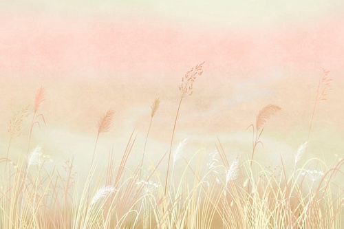 современные, колосья, персиковая