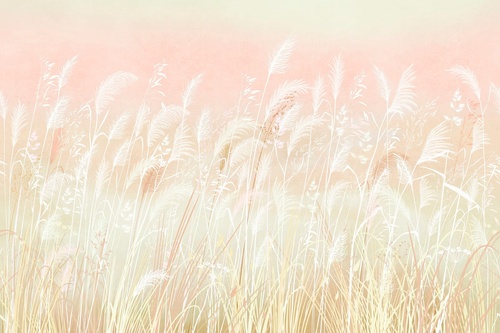 современные, колосья, светло персиковые, белые