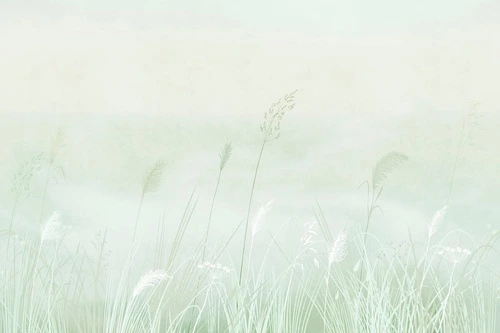 современные, колосья, светло зеленая